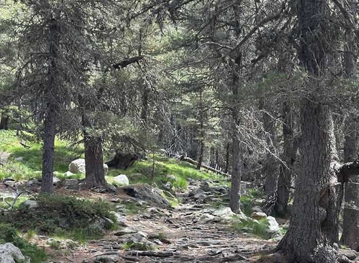 Chalet Seggiovia panorama